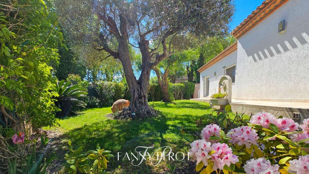 Maison à SAINT-CYPRIEN