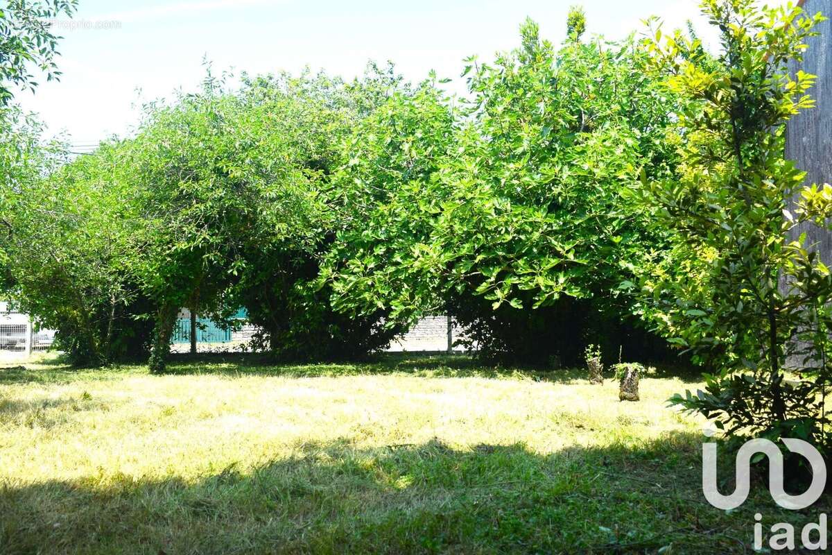 Photo 3 - Maison à SAINT-PIERRE-D&#039;OLERON