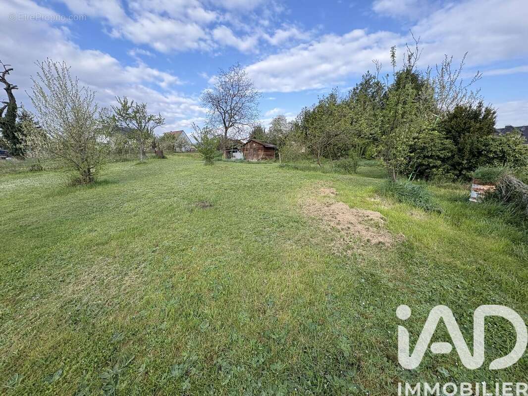 Photo 3 - Terrain à SAVERNE