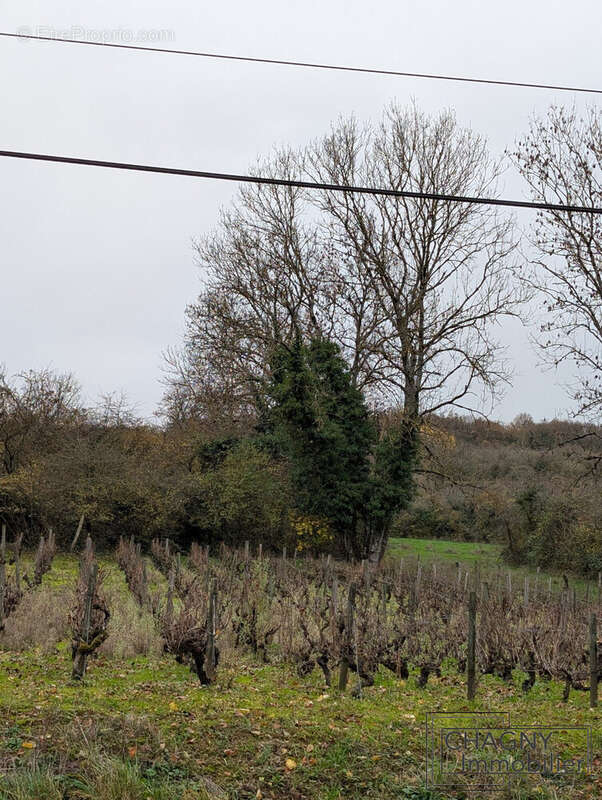 Terrain à CHASSEY-LE-CAMP