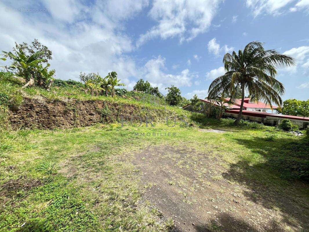 A VENDRED : Terrain 545m² GOURBEYRE (97113) - photo 2