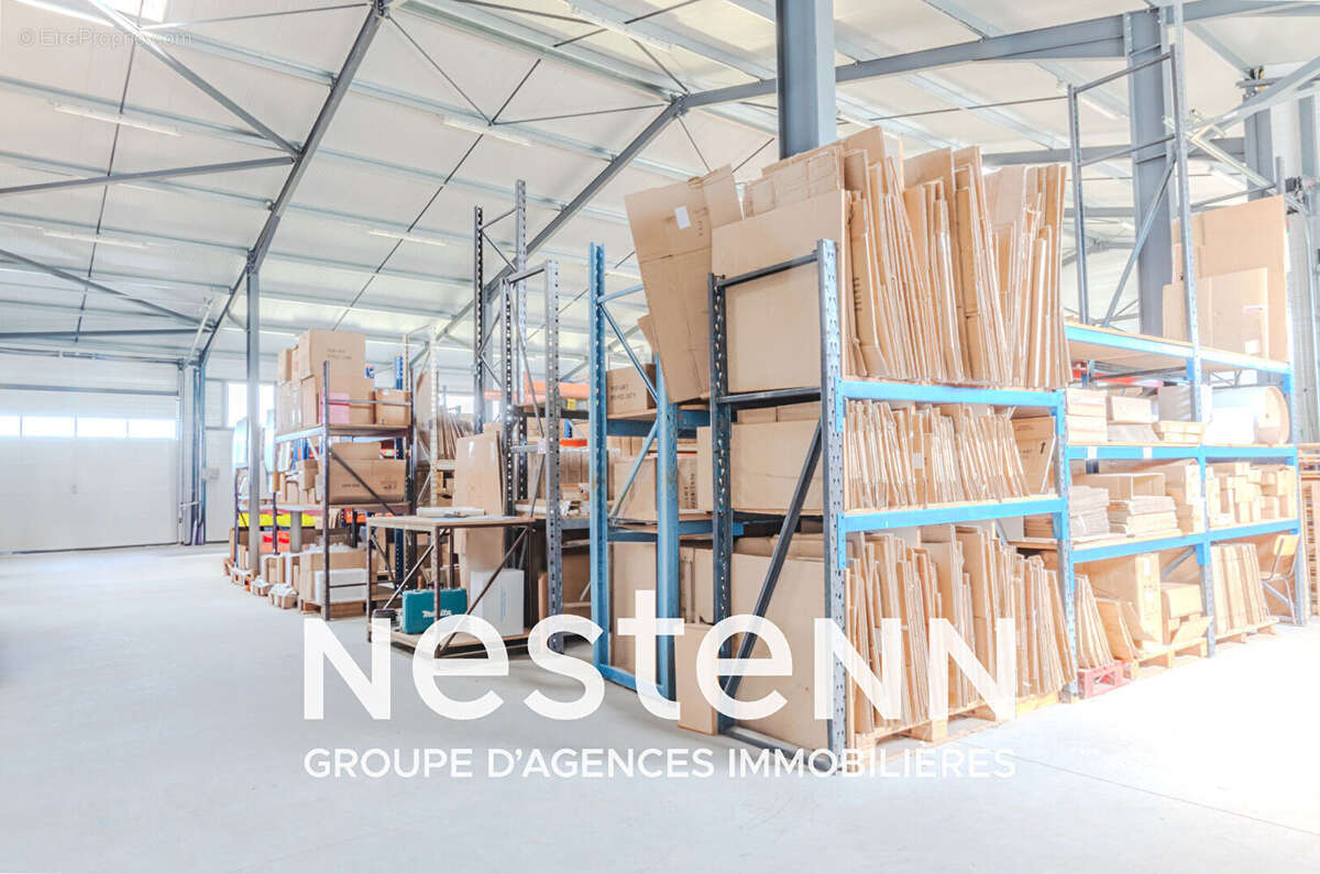 Commerce à PAMPELONNE