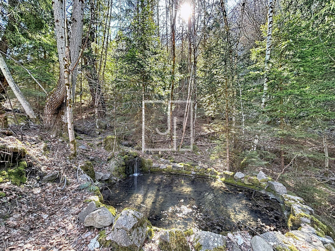 Maison à LE LAUZET-UBAYE