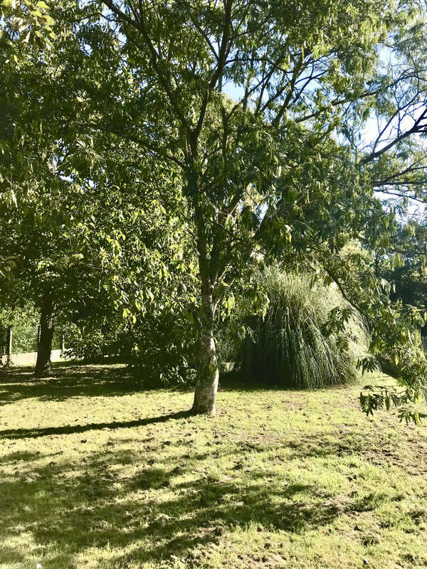 Maison à SOISY-SUR-ECOLE