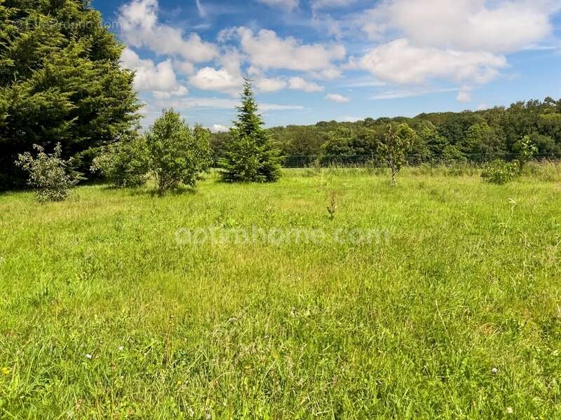 Authentique longère rénovée de 215 m2 – 5 chambres – Terrain arboré de 3000m2 au calme absolu - photo 23
