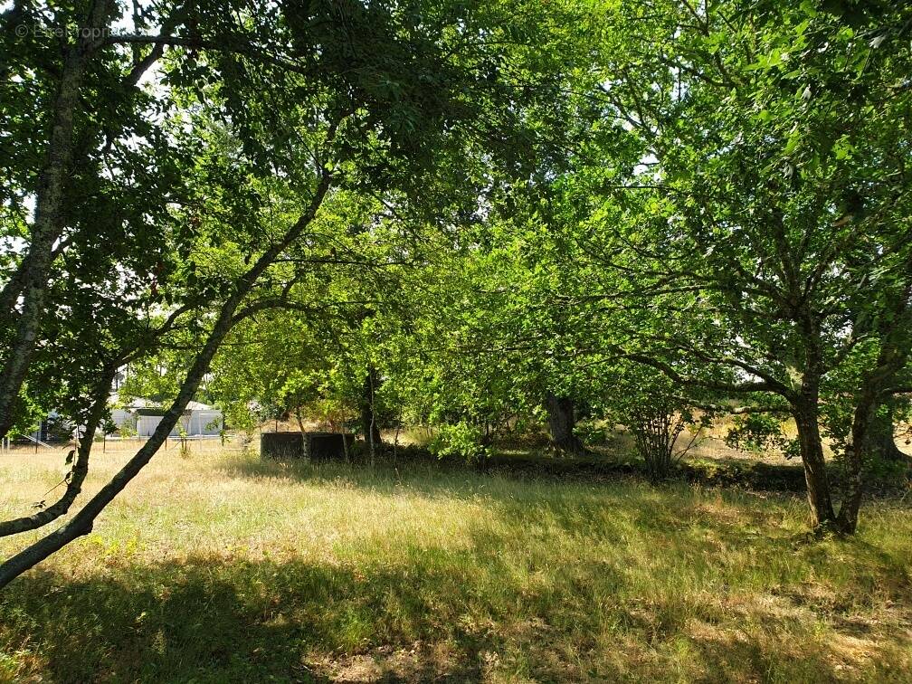 Terrain à PISSOS