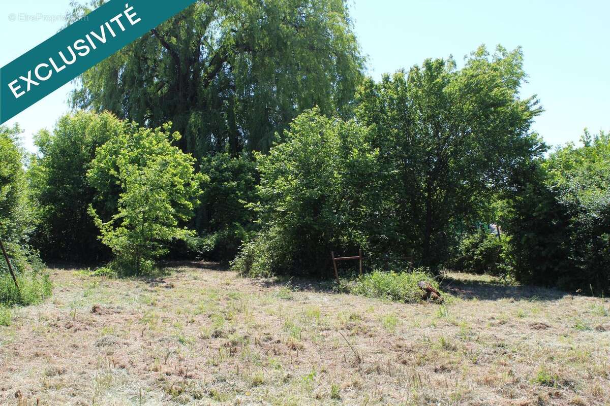 Photo 9 - Maison à SURBOURG