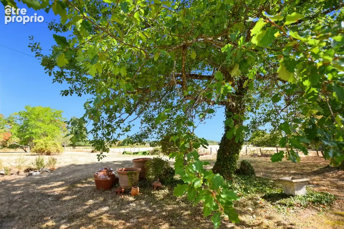 Maison en pierres de 120 m2 avec 5112 m2 de terrain SAINT EMILAND (71) - photo 8