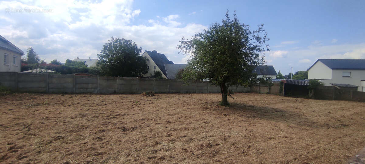 Terrain à NOYAL-SUR-VILAINE