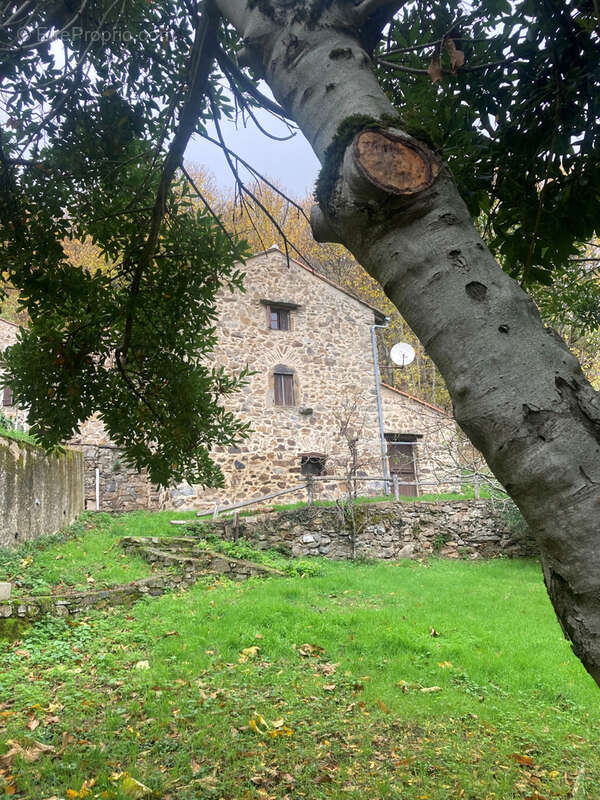 Maison à FERRALS-LES-MONTAGNES