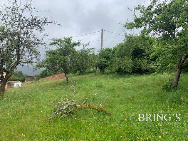 Terrain 682 m² à Laveline-Devant-Bruyeres  - photo 3