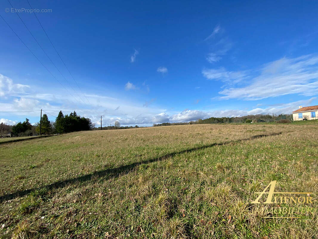 Terrain à CHAMPAGNAC-DE-BELAIR
