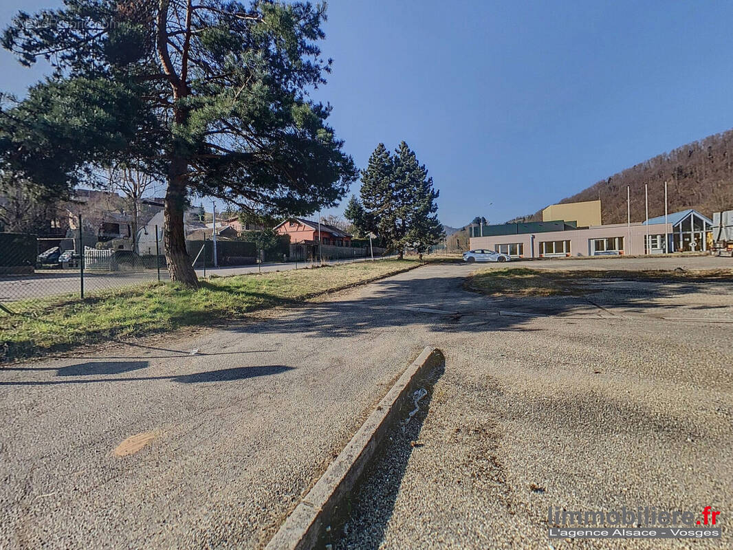 Commerce à SAINTE-MARIE-AUX-MINES