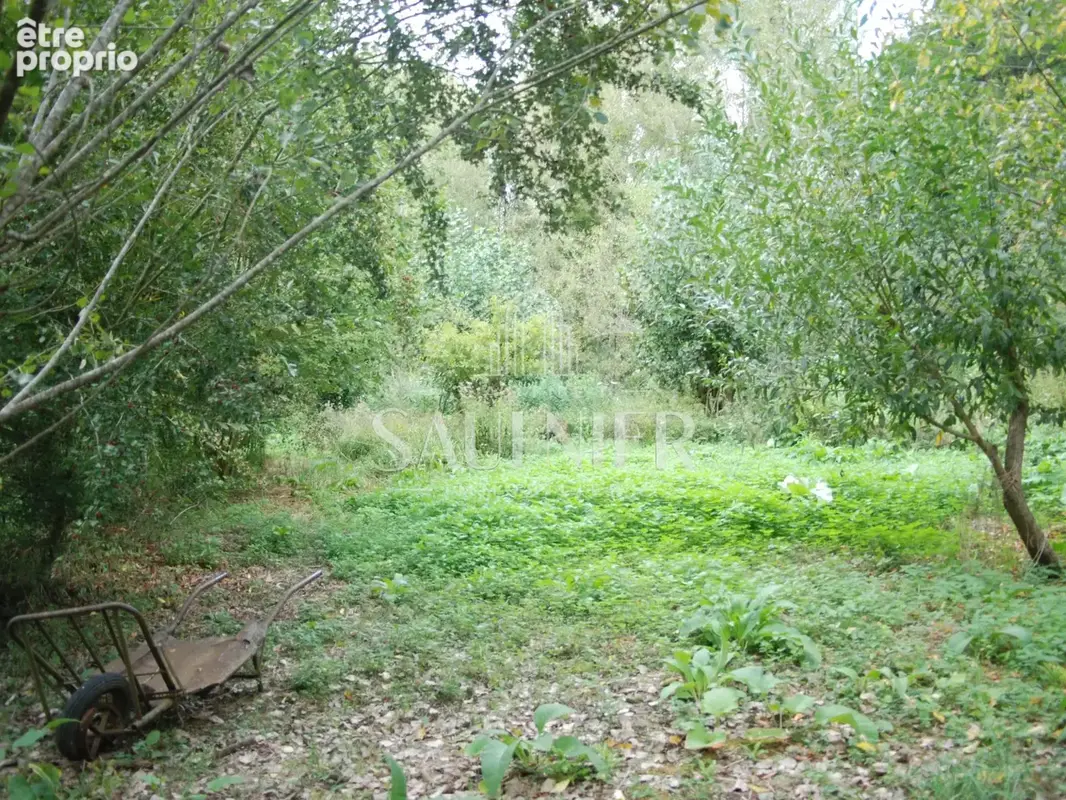 Entre Montrichard et Blois, petit domaine agricole. - photo 12