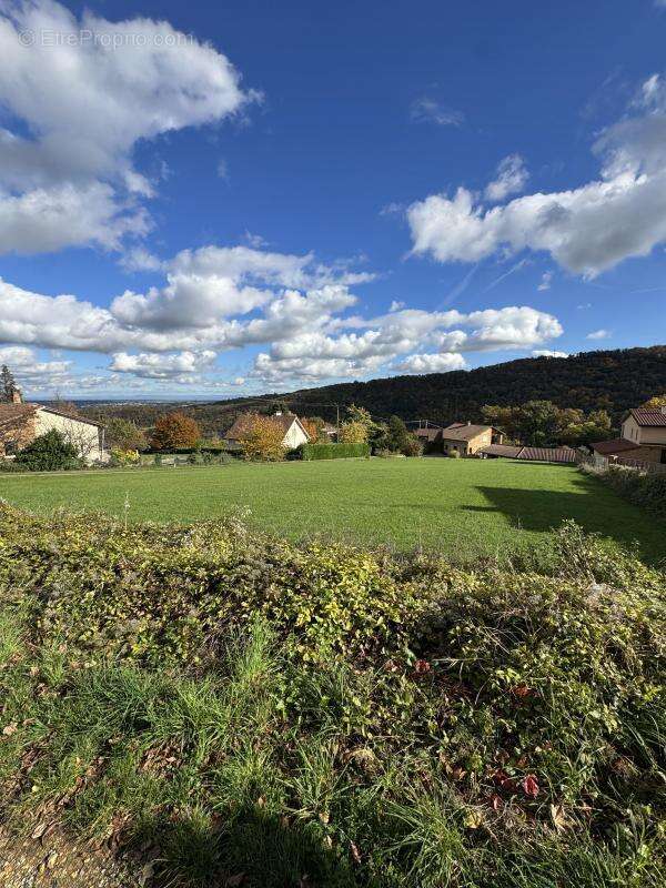 Terrain à POLEYMIEUX-AU-MONT-D&#039;OR