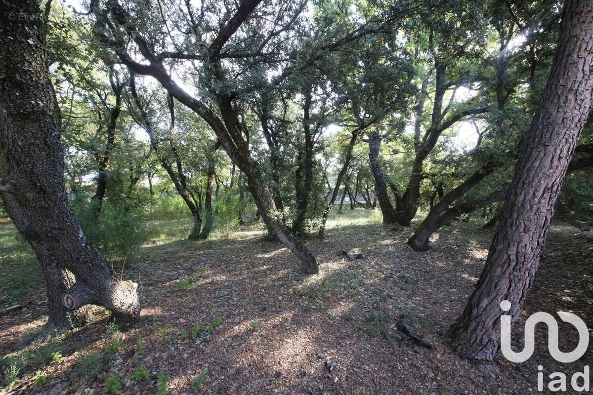 Photo 1 - Terrain à PERNES-LES-FONTAINES