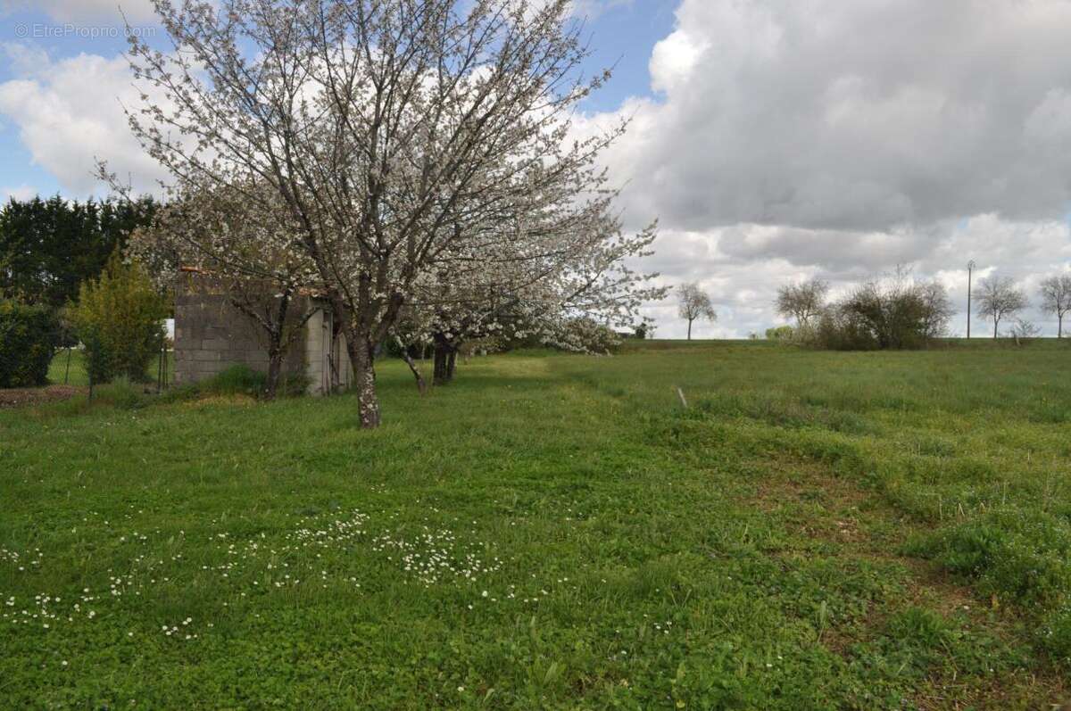 Terrain à ASNIERES-LA-GIRAUD