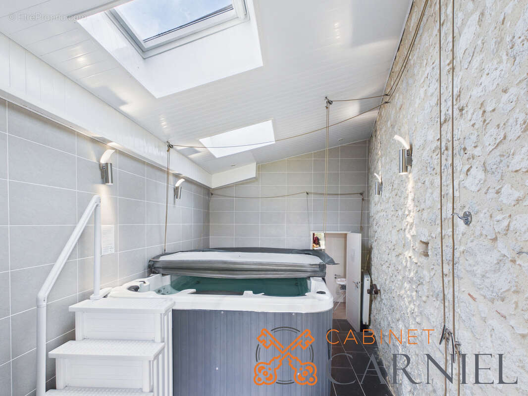 Propriété de charme avec activité de gîtes   Piscine, spa - photo 11