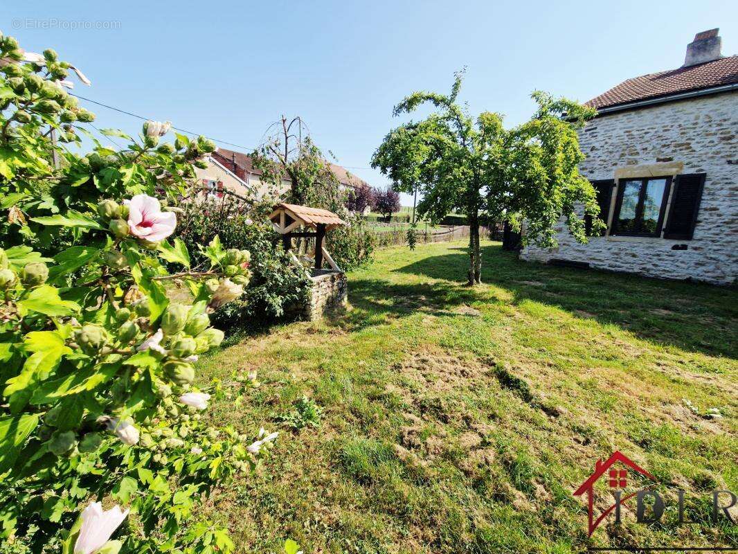 Maison à SAVIGNY