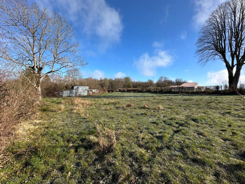 Terrain à SAINT-GEORGES-DE-MONS