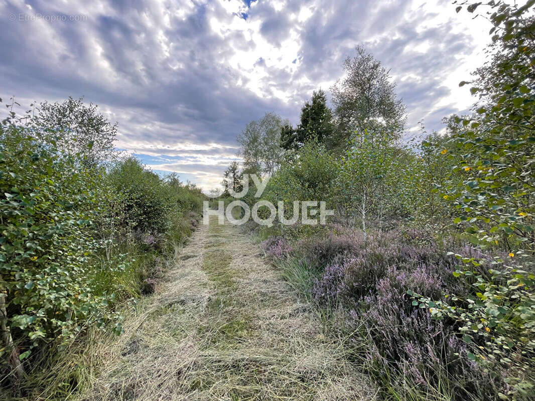 Terrain à LAMOTTE-BEUVRON