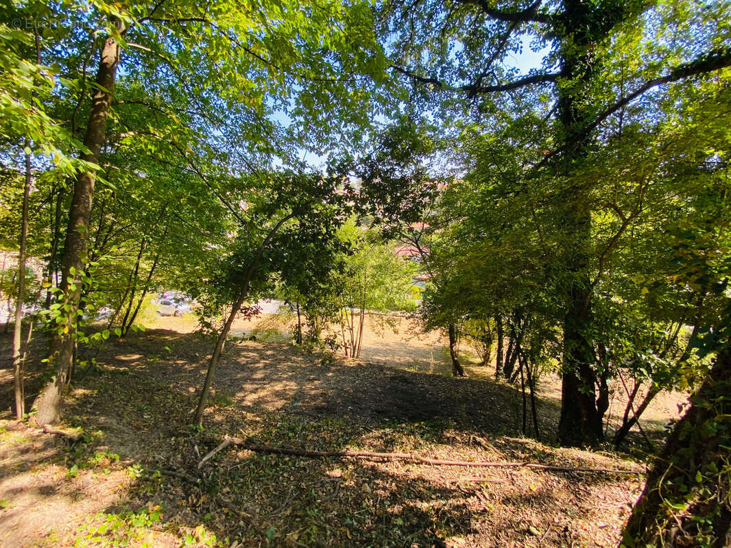 Terrain à LA COLLE-SUR-LOUP