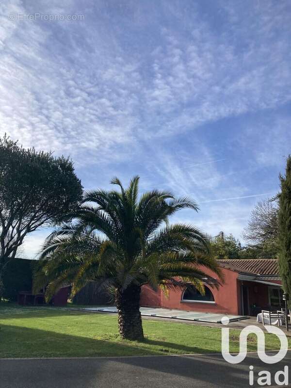 Photo 5 - Maison à CARIGNAN-DE-BORDEAUX