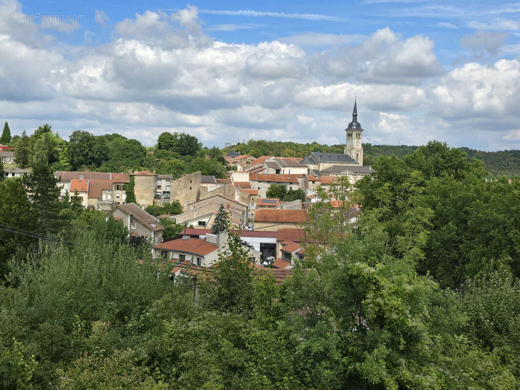 Maison à PAGNY-SUR-MOSELLE