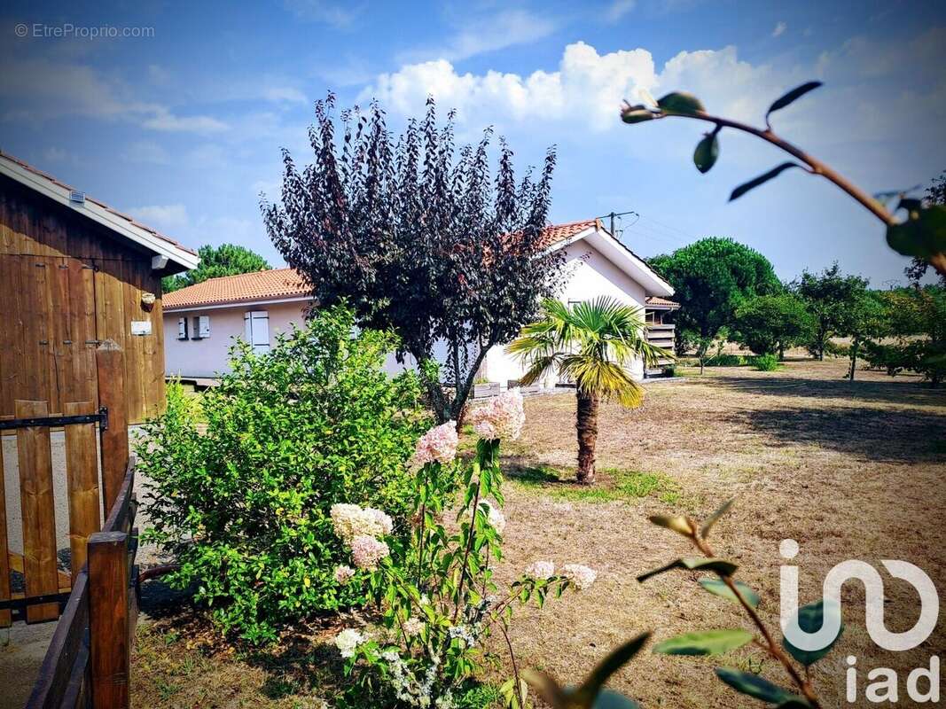 Photo 2 - Maison à MIMIZAN