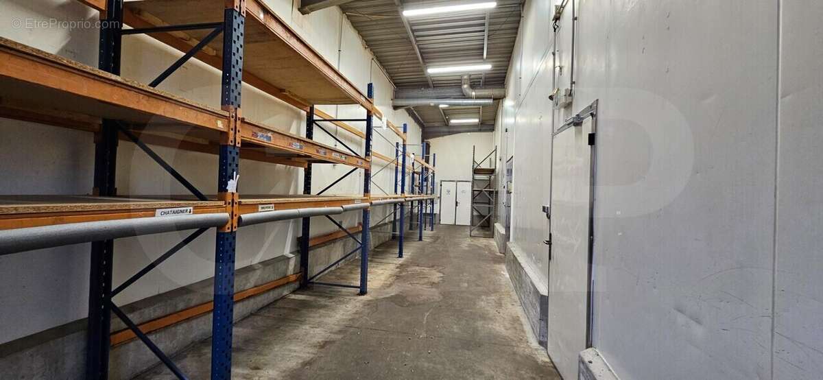 Autre à SAINT-JACQUES-DE-LA-LANDE