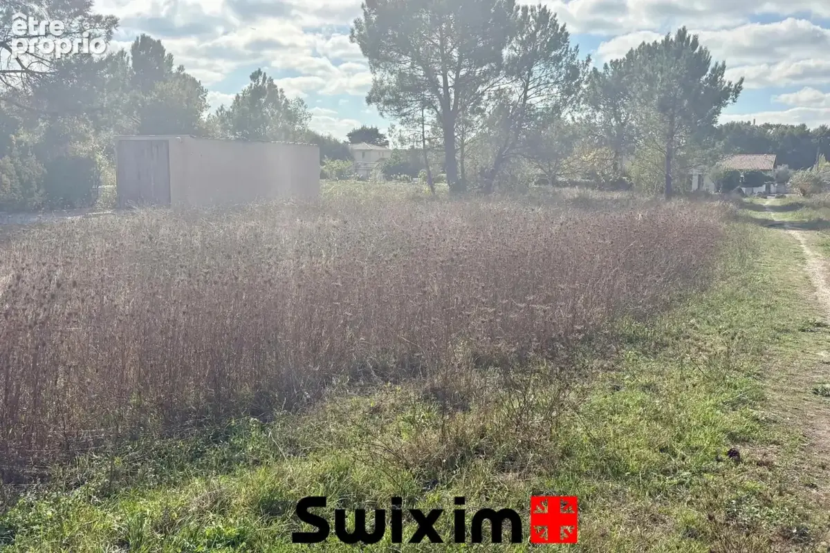 Le Taillan-Médoc – Terrain à bâtir de 582 m² – Exclusivité - photo 4