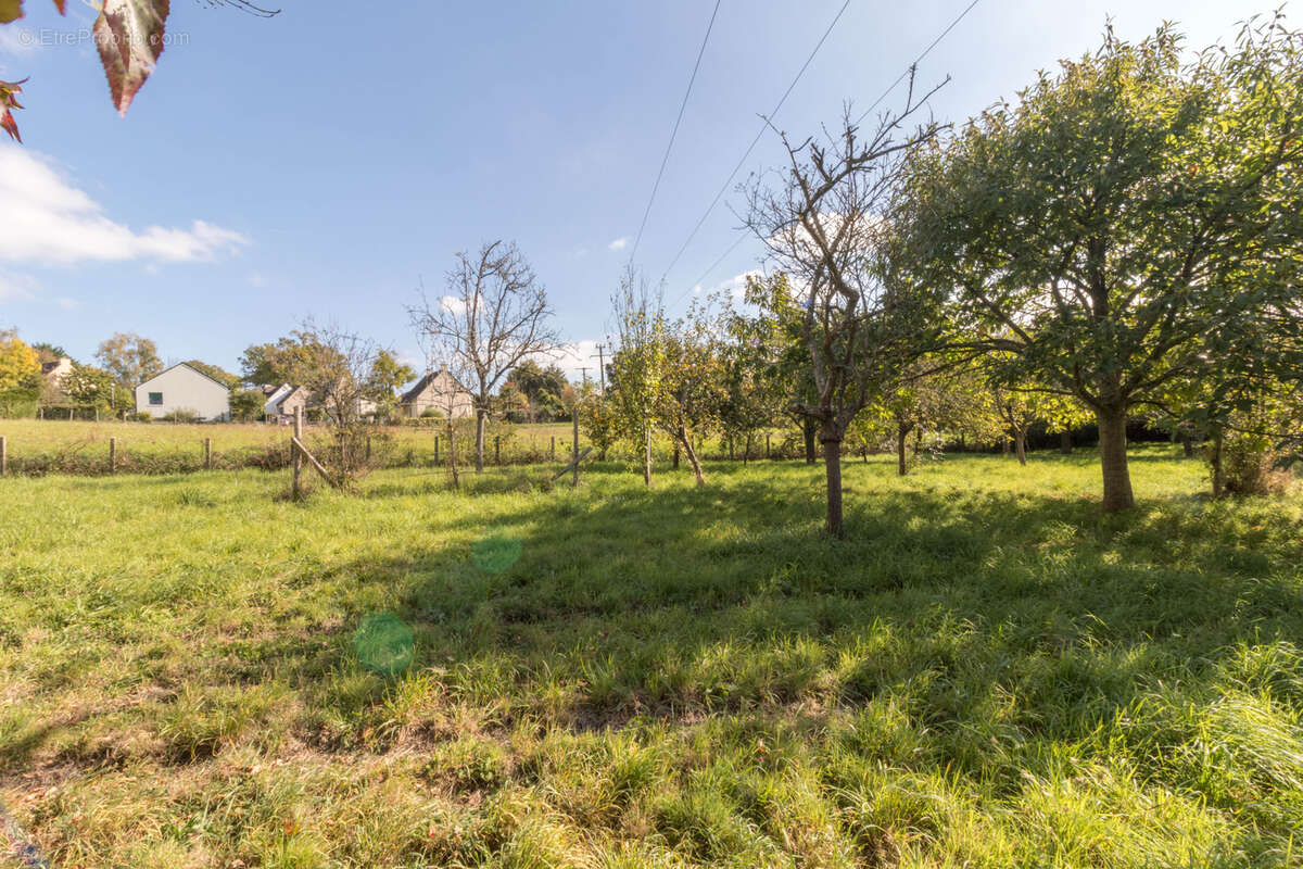 Terrain à SAINT-MEDARD-SUR-ILLE