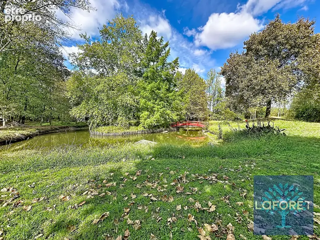 Propriété d'exception - 5,7 ha - Etang et Forêt - 483 m² - 10 chambres  - Piscine - photo 3