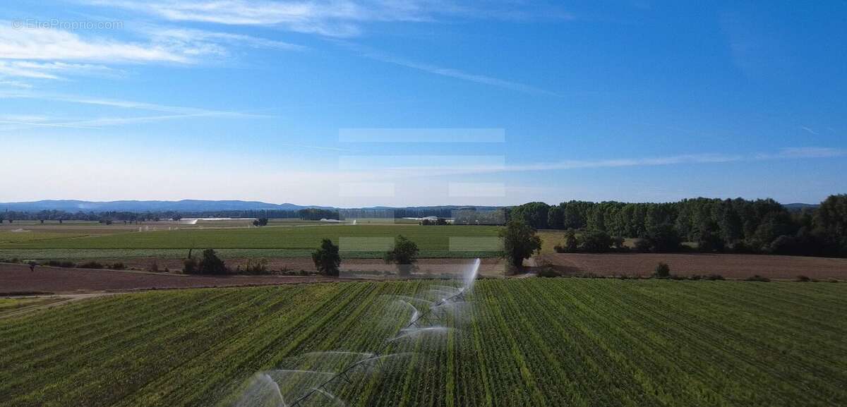 Maison à NEGREPELISSE