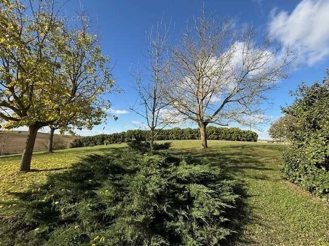 Maison à LABASTIDE-BEAUVOIR