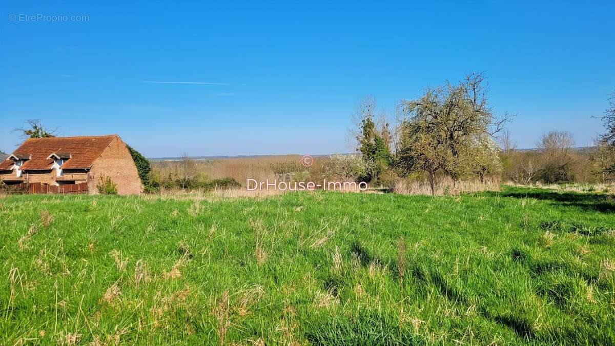 Terrain à AMIGNY-ROUY