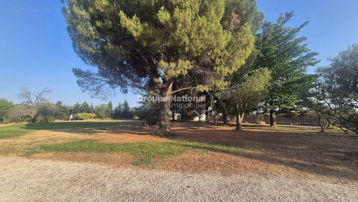 Carpentras - propriete de 190 m² habitable sur 4009 m² de terrain - photo 4