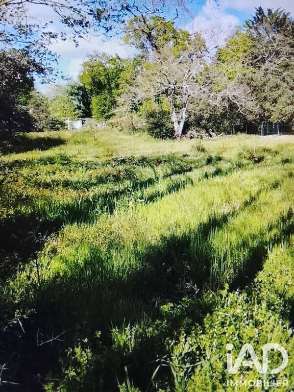 Photo 1 - Terrain à SAINT-HILAIRE-DE-RIEZ