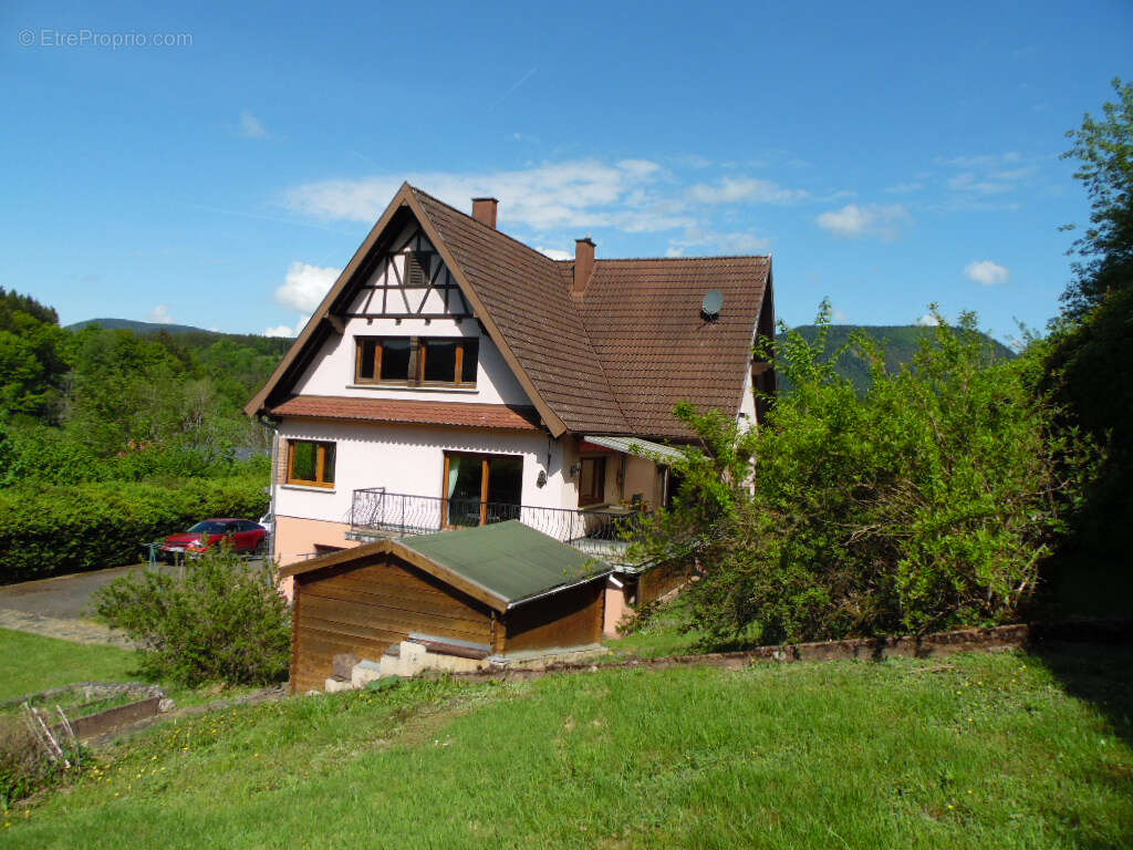 Saint blaise la roche (67420) maison d'architecte de 248m2 - photo 30