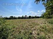 Terrain à SAVIGNY-EN-SANCERRE