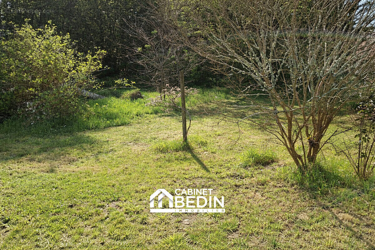 Terrain à ARES