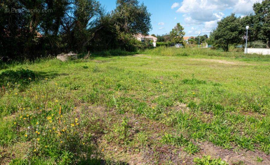 Terrain à BRETIGNOLLES-SUR-MER