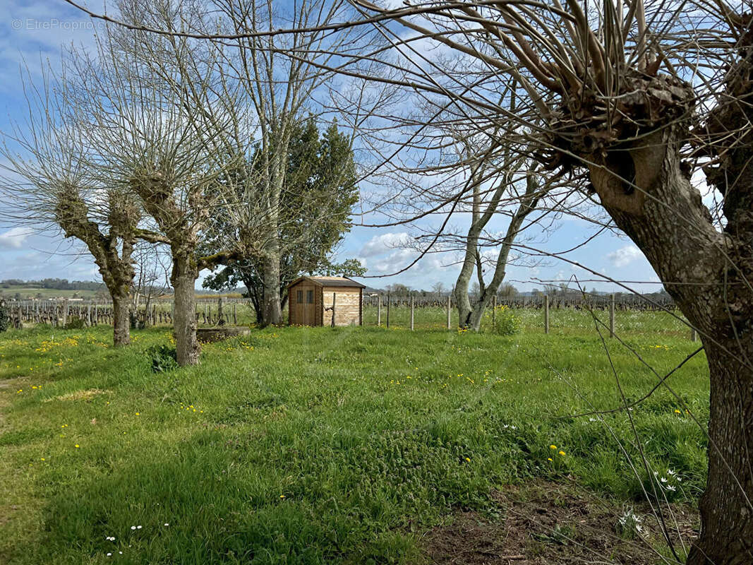 Maison à SAINT-EMILION