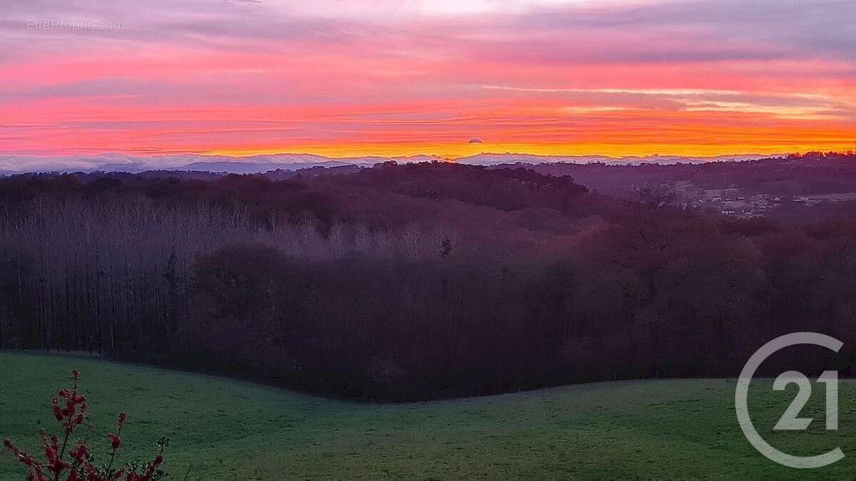 Terrain à ORTHEZ