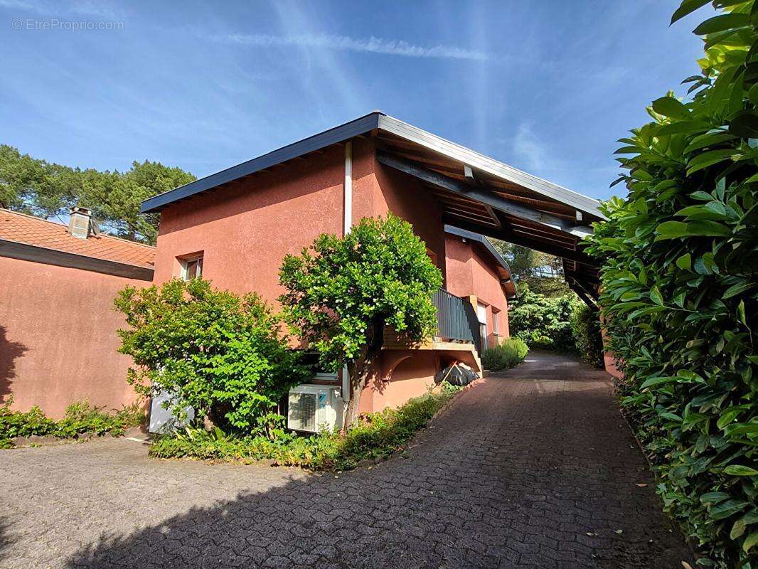 Maison à MESSANGES