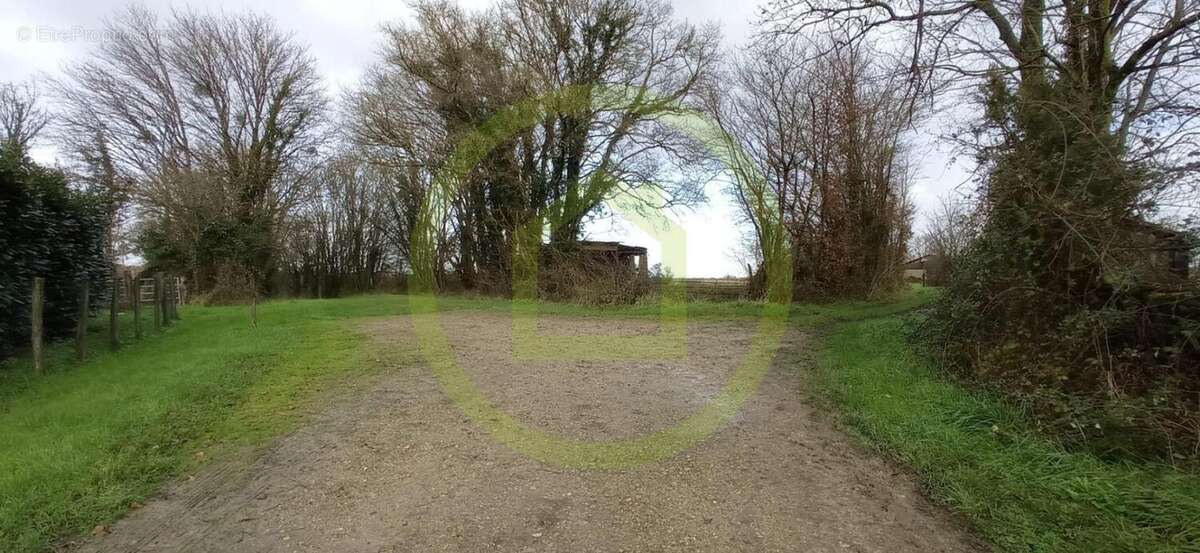 Maison à SAINT-BONNET-EN-BRESSE