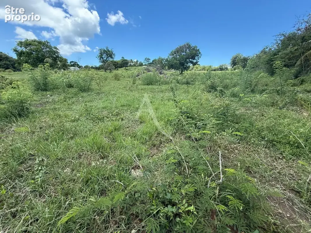 Rare sur le secteur : Parcelle d'exception de 4 000 m² pour grand projet - photo 3