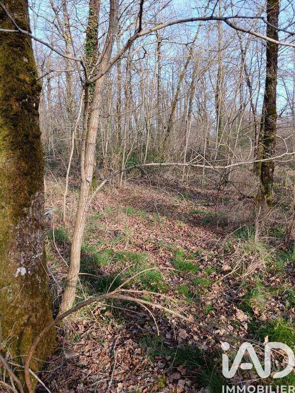 Photo 8 - Terrain à SAINTE-GEMME