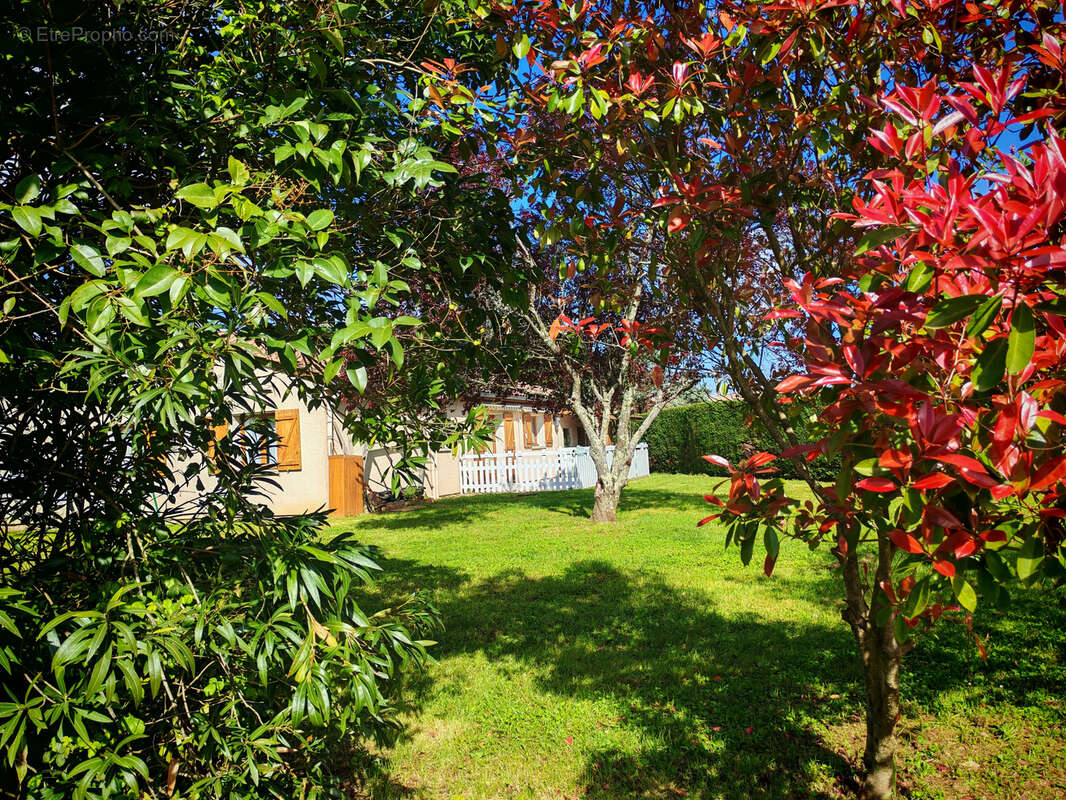 Maison à LISLE-SUR-TARN