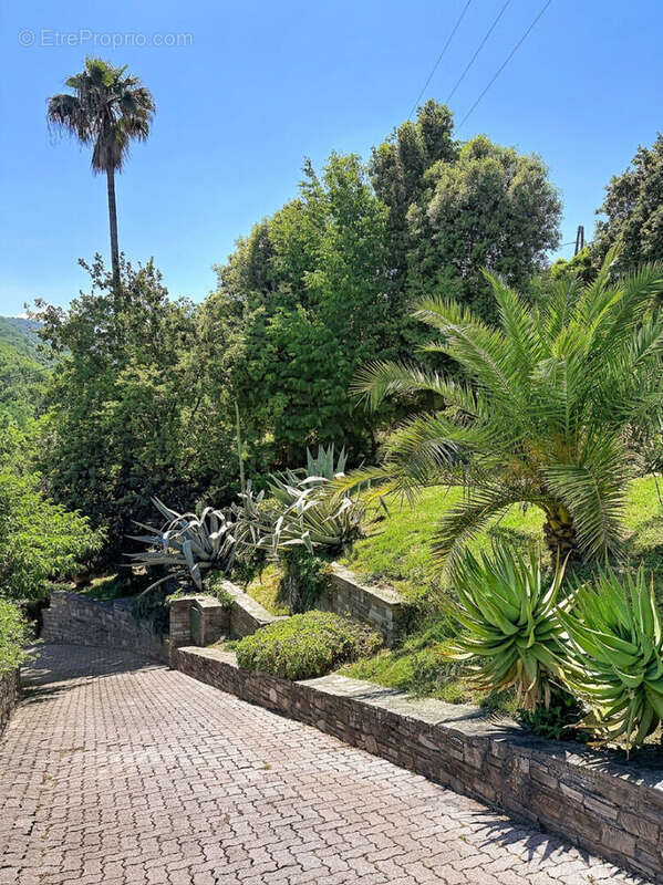 Villa Venzolasca 5 pièces - photo 3